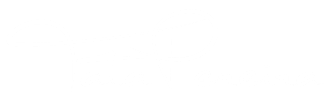 Tata Pereira Logo Nome